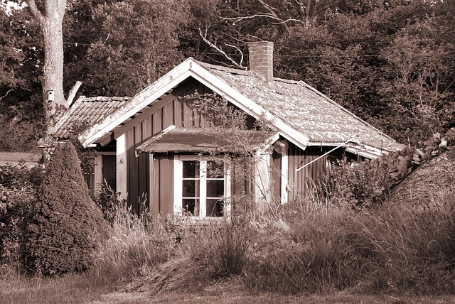 malý dřevěný domek